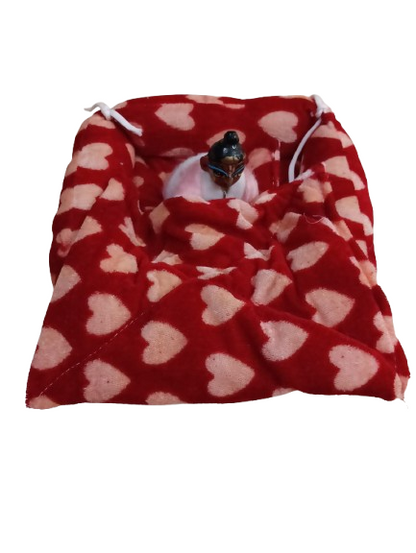 Shyam Diwane Laddu Gopal winter velvet gaddi